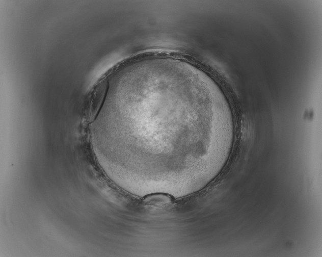 X0000112031352200908241528