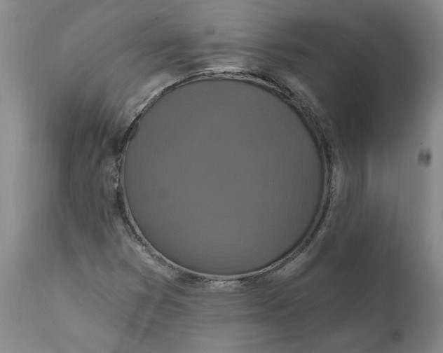 X0000112031353200908241528