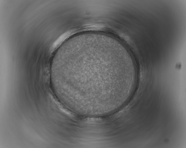 X0000112031354200908241528