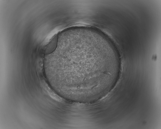 X0000112031355200908241528