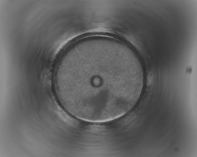 X0000112031356200908241528