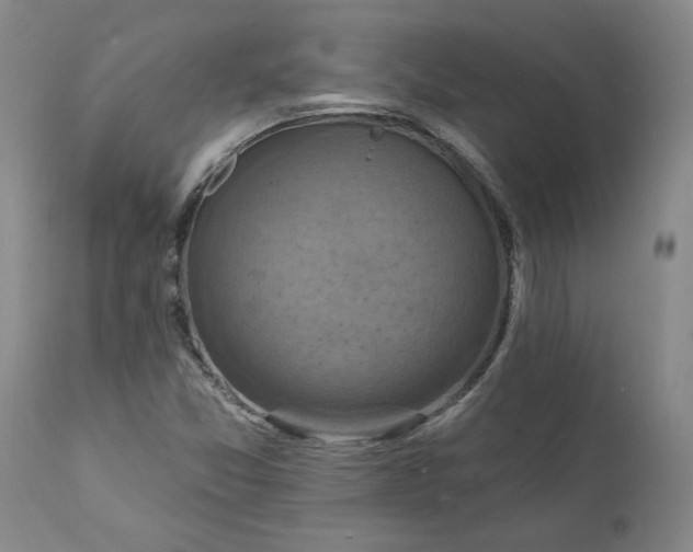 X0000112031357200908241528