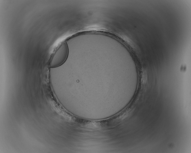 X0000112031358200908241528