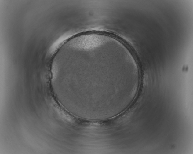 X0000112031359200908241528