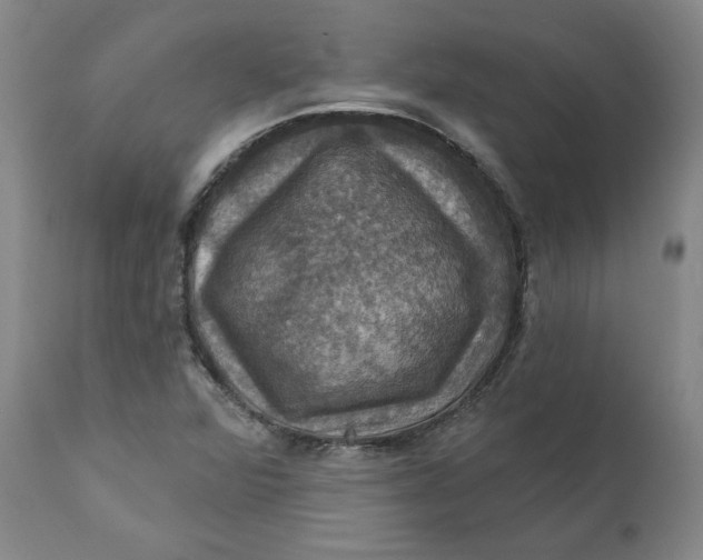 X0000112031360200908241528