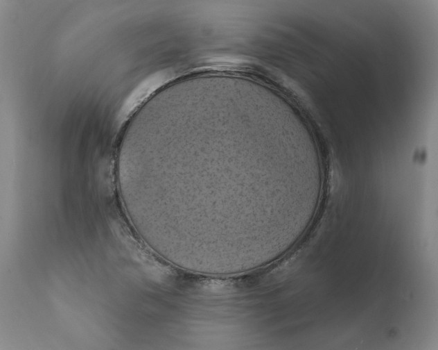 X0000112031362200908241528