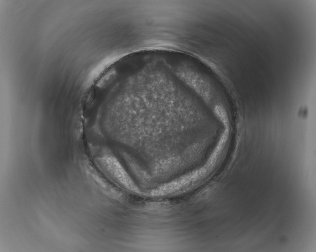 X0000112031363200908241528