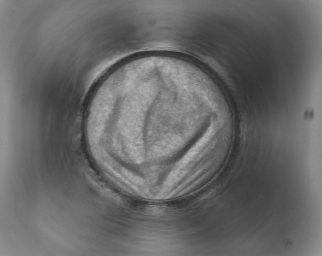 X0000112031364200908241528