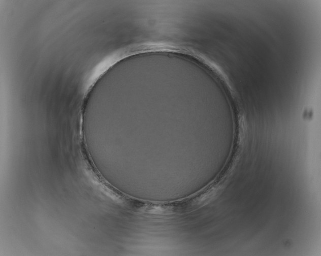 X0000112031365200908241528