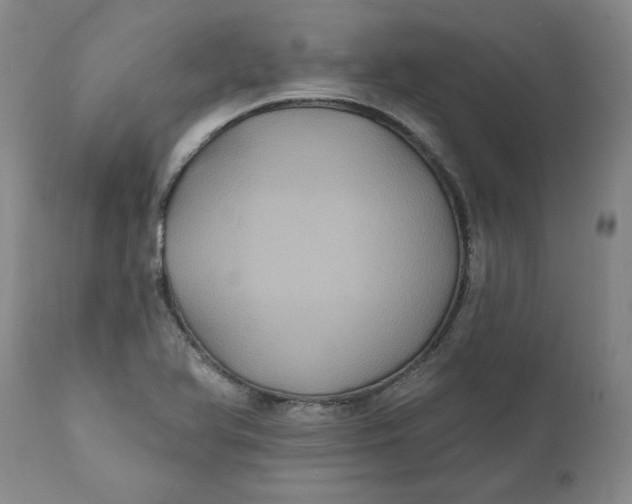 X0000112031366200908241528