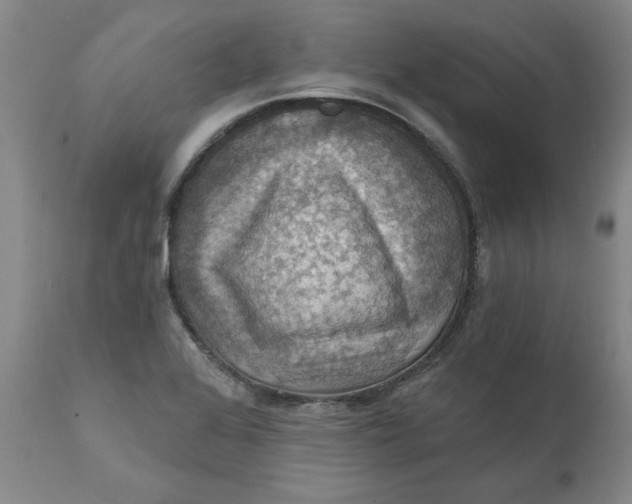 X0000112031368200908241528