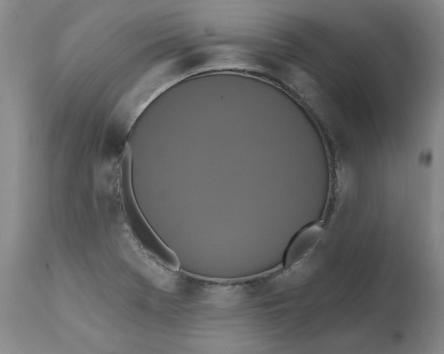 X0000112031369200908241528