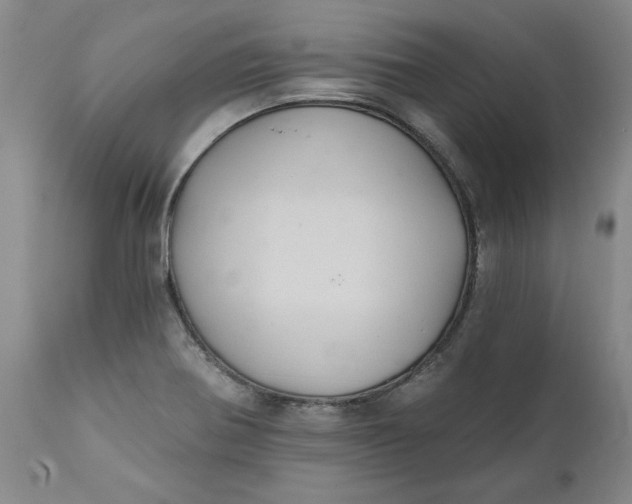 X0000112031370200908241528