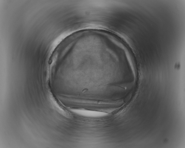 X0000112031371200908241528