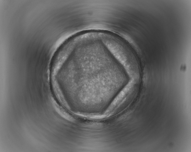 X0000112031372200908241528