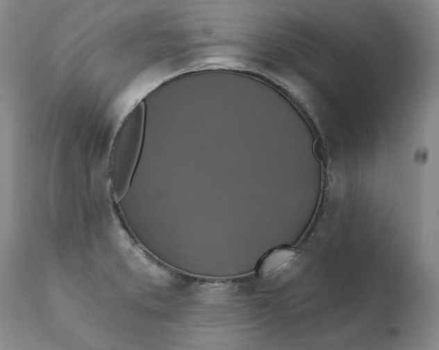 X0000112031373200908241528