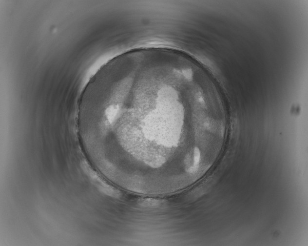 X0000112031374200908241528