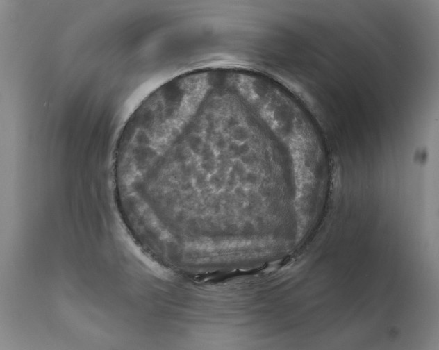 X0000112031375200908241528