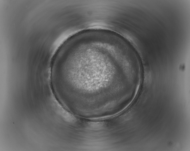 X0000112031376200908241528