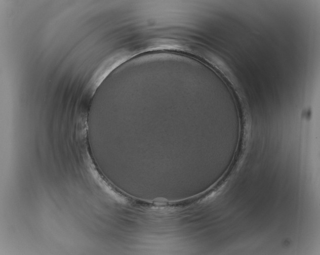 X0000112031377200908241528