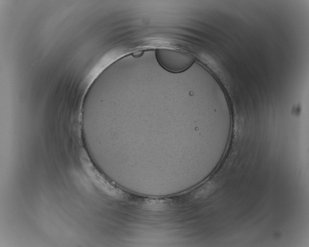 X0000112031378200908241528