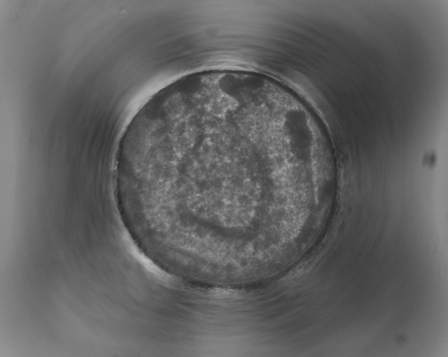 X0000112031379200908241528