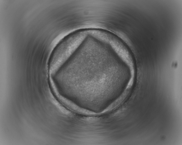 X0000112031380200908241528