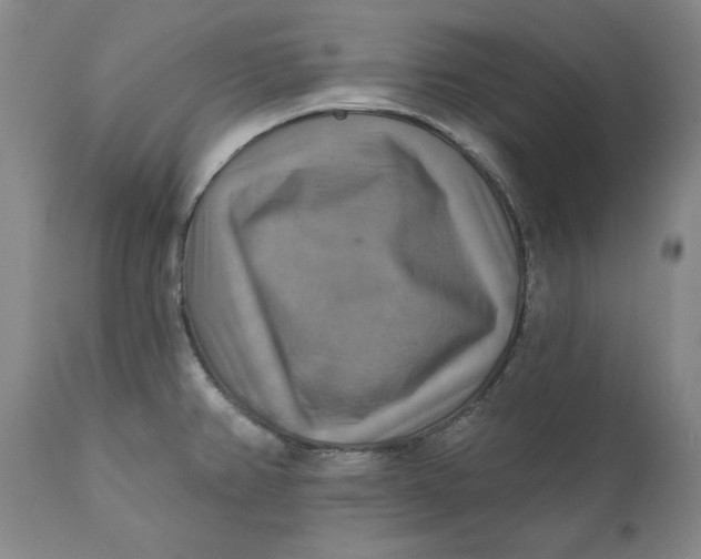 X0000112031382200908241528