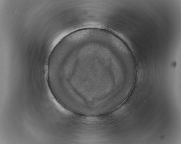 X0000112031383200908241528