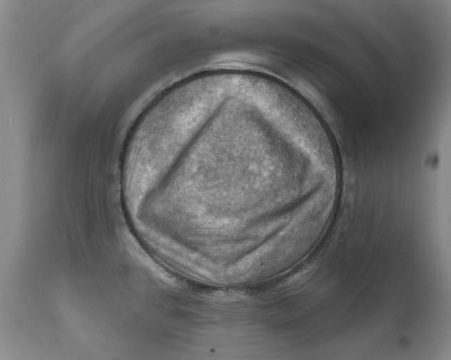 X0000112031384200908241528