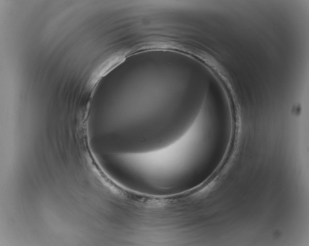 X0000112031385200908241528