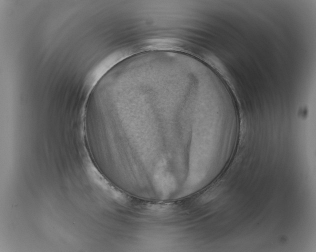 X0000112031386200908241528