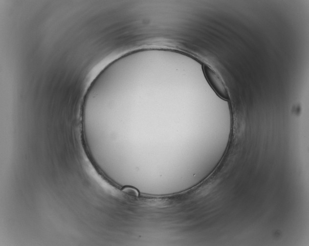 X0000112031387200908241528