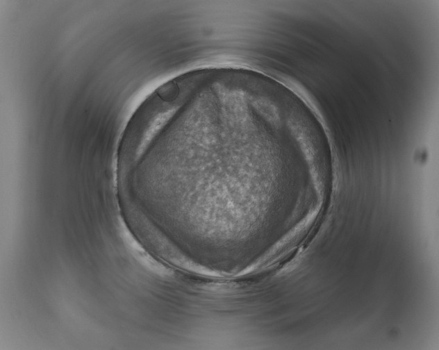 X0000112031388200908241528