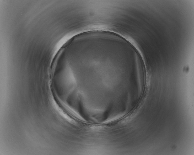 X0000112031389200908241528