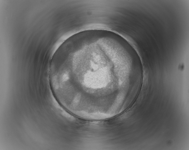 X0000112031390200908241528