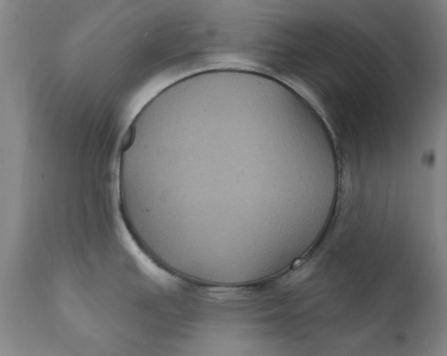 X0000112031391200908241528