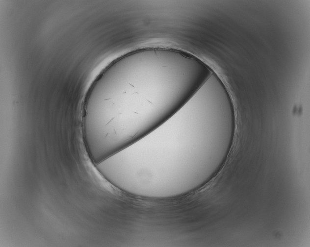 X0000112031392200908241528