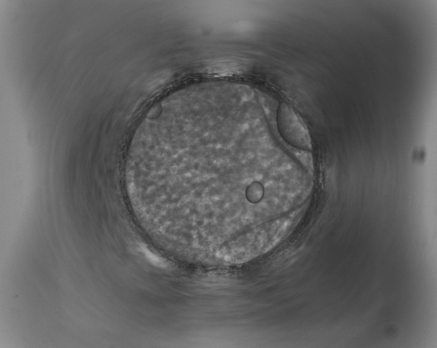 X0000112031393200908241527