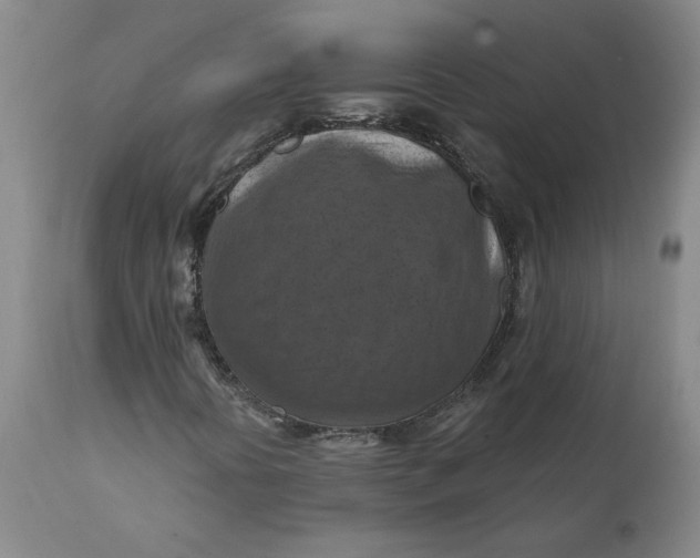 X0000112031394200908241527