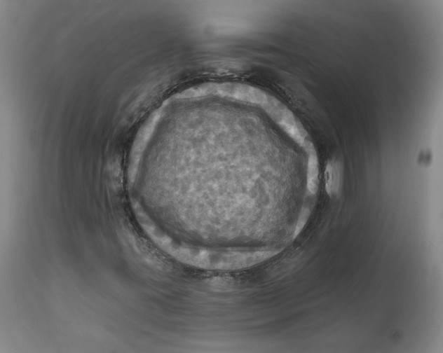 X0000112031395200908241527