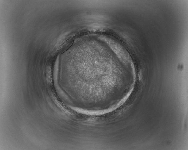 X0000112031396200908241527