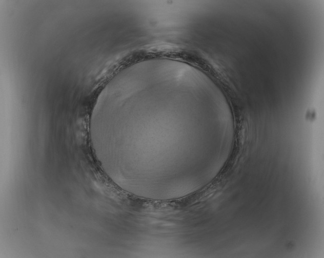 X0000112031397200908241527