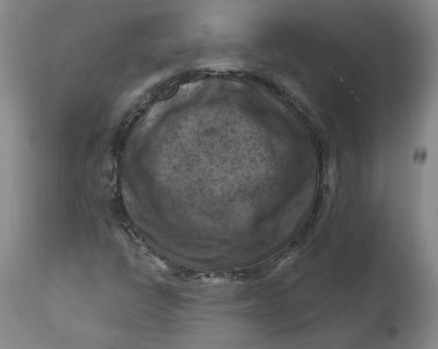 X0000112031398200908241527