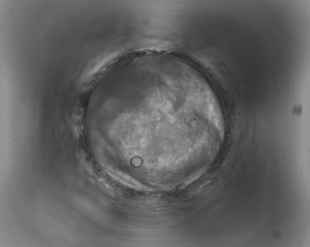 X0000112031399200908241527