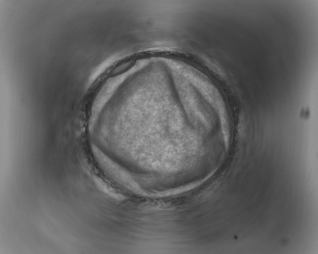 X0000112031400200908241527