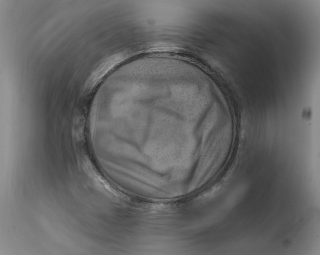 X0000112031401200908241527