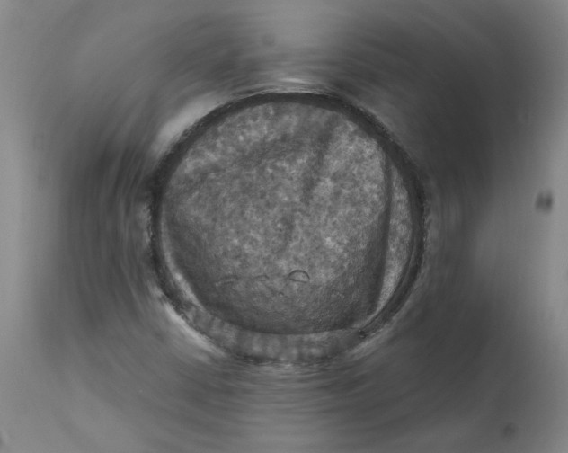 X0000112031402200908241527