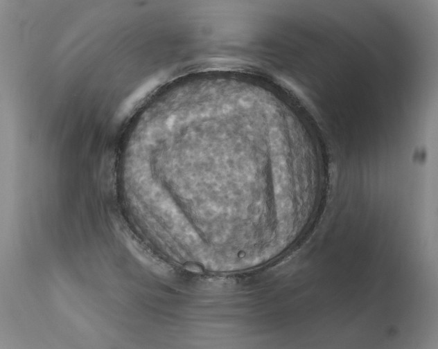 X0000112031403200908241527