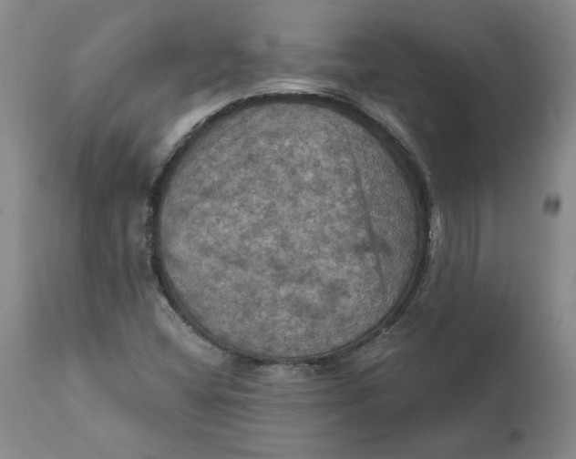 X0000112031404200908241527